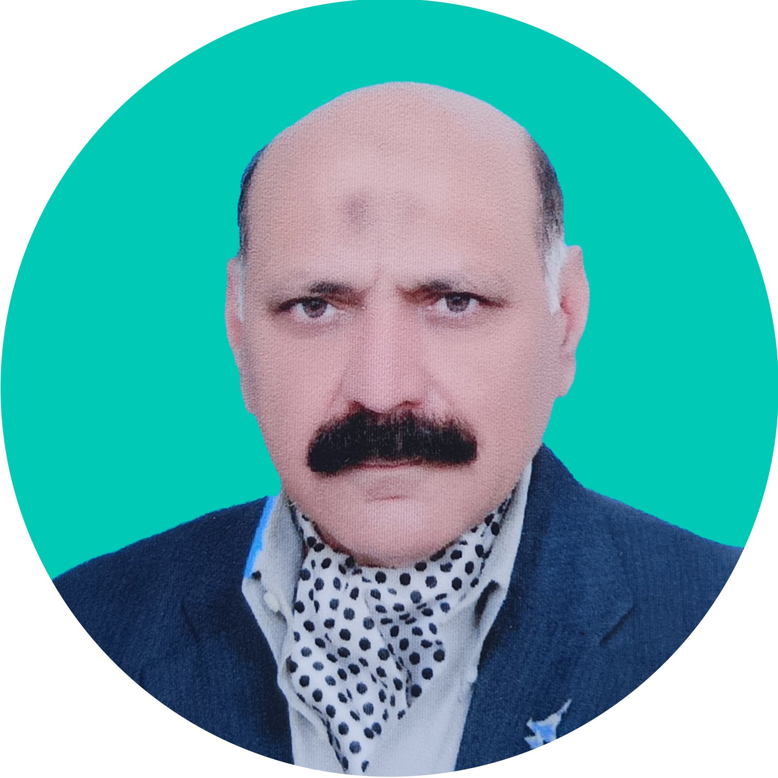 Founder / Advisory